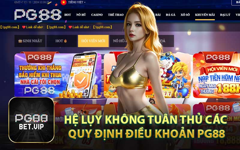 Hệ Lụy Khi Không Tuân Thủ Các Quy Định Điều Khoản PG88