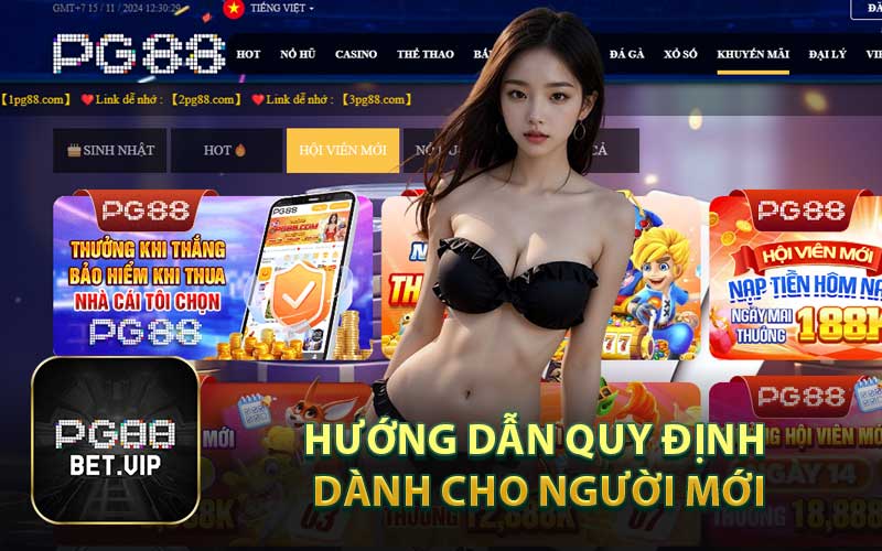 Hướng Dẫn Quy Định Dành Cho Người Mới