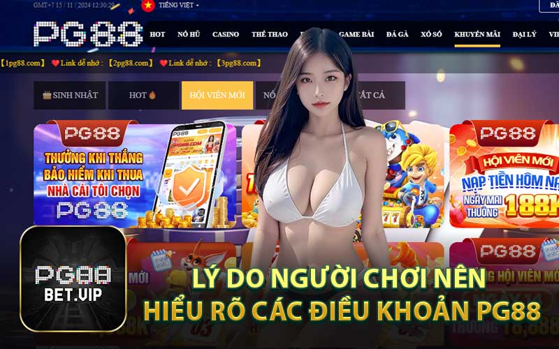 Lý Do Người Chơi Nên Hiểu Rõ Các Điều Khoản PG88