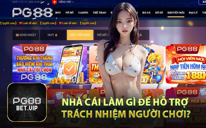 Nhà Cái Làm Gì Để Hỗ Trợ Trách Nhiệm Người Chơi?